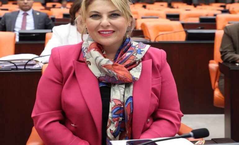 Elvan Işık Gezmiş; Emekli maaşı lütuf değil – Birlik Haber Ajansı