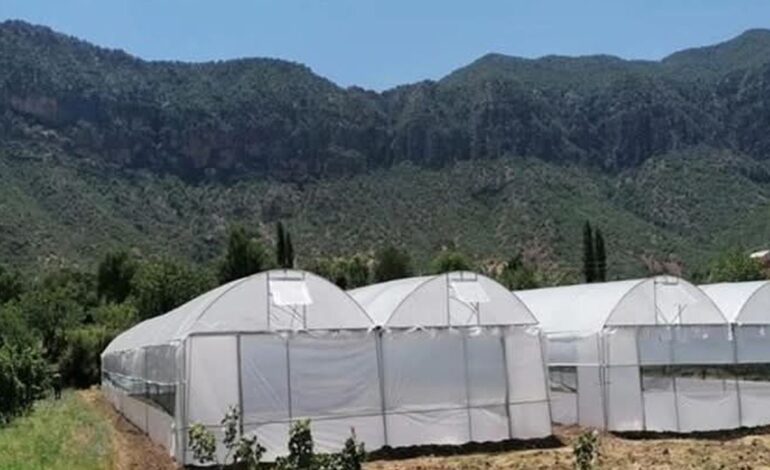 Seralarda yıkım hasat sonrasına ertelendi – Birlik Haber Ajansı